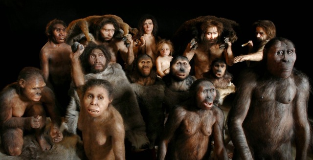 27 - A bunch of hominids - Kopya